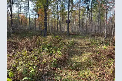 73855 Markville Road, Arna Township, MN 55072 - Photo 17