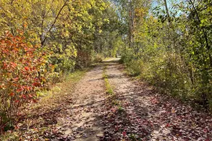 56694 Williams Ln, Sandstone, MN 55072 - Photo 1