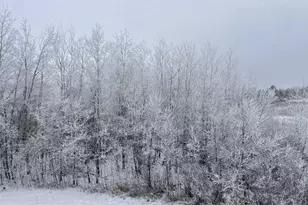 59871 Co Hwy 52, Wadena, MN 56482 - Photo 55