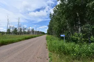 18625 Skunk Lake Rd, Dell Grove Township, MN 55072 - Photo 39