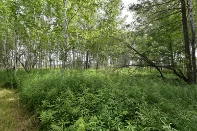 18625 Skunk Lake Road, Dell Grove Township, MN 55072 - Photo 35