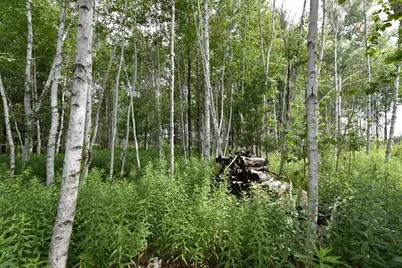 18625 Skunk Lake Road, Dell Grove Township, MN 55072 - Photo 33