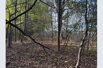 Tbd Nightingale Street, Braham, MN 55006 - Photo 39