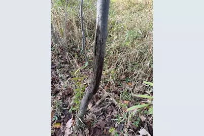 Tbd Nightingale Street, Braham, MN 55006 - Photo 43