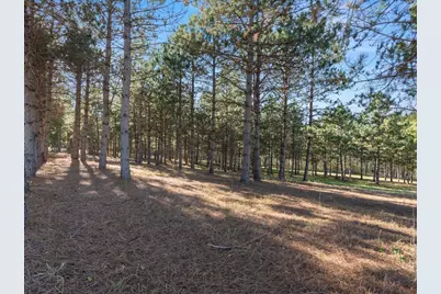 30091 Huntersville Road, Sebeka, MN 56477 - Photo 7