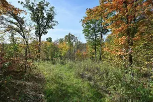 17 28 Block Dr, Minong Township, WI 54859 - Photo 1