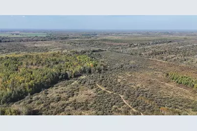Tbd 460th Lane, Palisade, MN 56469 - Photo 1