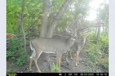 32317 170th Street, Isle, MN 56342 - Photo 11