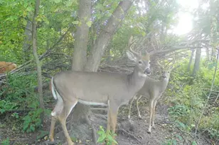 32317 170th St, Isle, MN 56342 - Photo 11