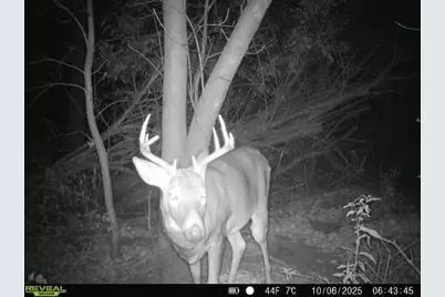 32317 170th Street, Isle, MN 56342 - Photo 13