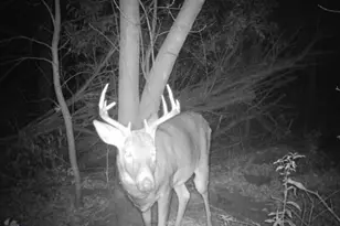 32317 170th St, Isle, MN 56342 - Photo 13