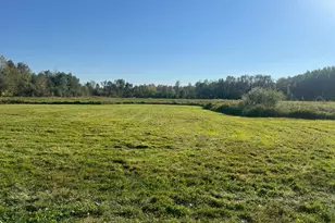 32317 170th St, Isle, MN 56342 - Photo 3