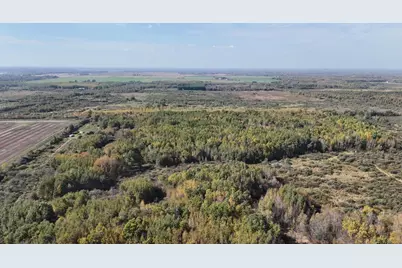 0000 460th Lane, Palisade, MN 56469 - Photo 15