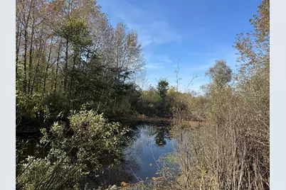 1Xxx 460th Lane, Palisade, MN 56469 - Photo 7