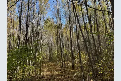 1Xxx 460th Lane, Palisade, MN 56469 - Photo 9