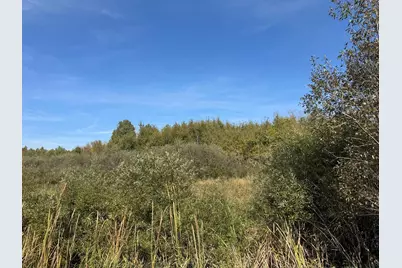 1Xxx 460th Lane, Palisade, MN 56469 - Photo 21