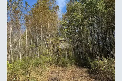 1Xxx 460th Lane, Palisade, MN 56469 - Photo 5