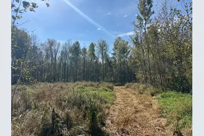 1Xxx 460th Lane, Palisade, MN 56469 - Photo 3