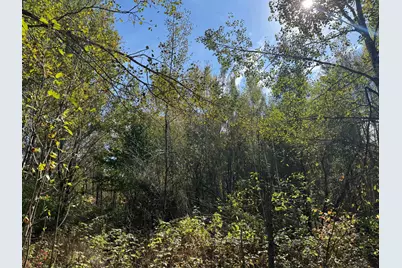 1Xxx 460th Lane, Palisade, MN 56469 - Photo 19