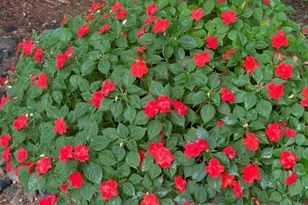 6831 Stonewood Ct, Eden Prairie, MN 55346 - Photo 43