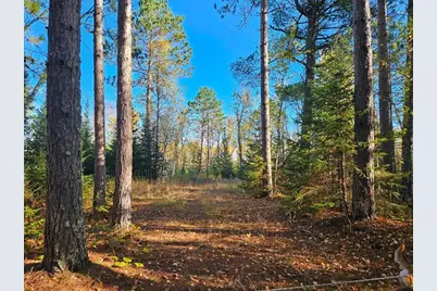 Tbd Leathers Road, Orr, MN 55771 - Photo 1