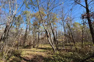 17256 Trengove Rd NW, Solway, MN 56678 - Photo 57