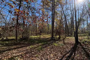 17256 Trengove Rd NW, Solway, MN 56678 - Photo 67