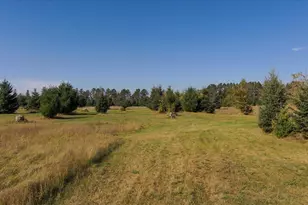 185 Crow Wing Lake Dr NE, Akeley, MN 56433 - Photo 7