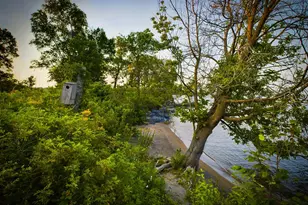 1 Birch Is, Angle Twp, MN 56711 - Photo 31