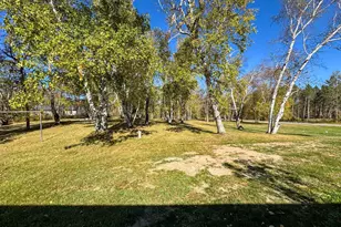 3545 White Birch Ave NE, Bemidji, MN 56601 - Photo 35