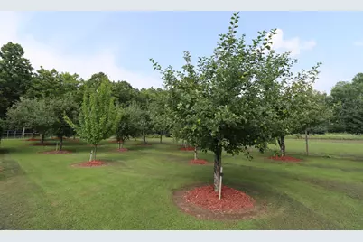 58715 Noid Road, Mason, WI 54856 - Photo 91