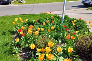 2908 32nd Ave NE, Saint Anthony, MN 55418 - Photo 51