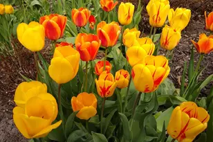 2908 32nd Ave NE, Saint Anthony, MN 55418 - Photo 47