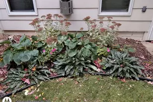 2908 32nd Ave NE, Saint Anthony, MN 55418 - Photo 49