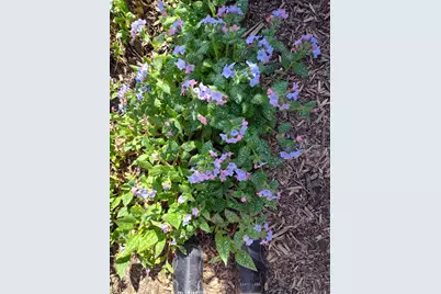 2908 32nd Avenue NE, Saint Anthony, MN 55418 - Photo 45