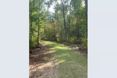 Tbd County Road T 4, Dairyland, WI 54830 - Photo 5