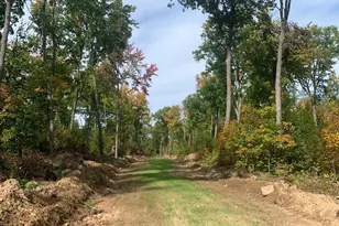 Tbd County Road T 3, Dairyland, WI 54830 - Photo 1