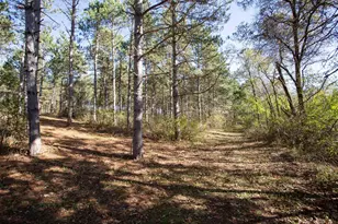 Lot 4 Nighthawk Dr, Star Prairie Township, WI 54025 - Photo 37