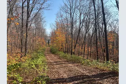 Xx W Deeryard Lake Rd, Lutsen Township, MN 55612 - Photo 9