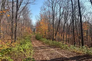11 W Deeryard Lake Rd, Lutsen Township, MN 55612 - Photo 9