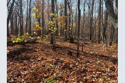 Xx W Deeryard Lake Rd, Lutsen Township, MN 55612 - Photo 7