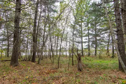 Tbd Harriet Lake Trail NW, Backus, MN 56435 - Photo 3