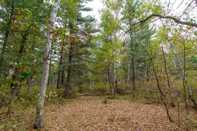 Tbd Harriet Lake Trail NW, Backus, MN 56435 - Photo 9
