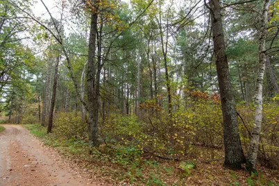 Tbd Harriet Lake Trail NW, Backus, MN 56435 - Photo 11