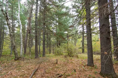 Tbd Harriet Lake Trail NW, Backus, MN 56435 - Photo 7