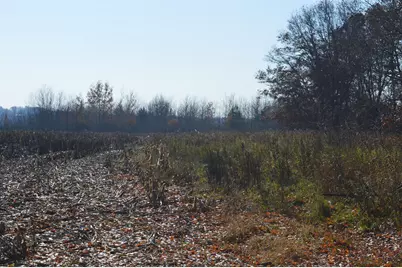 Tbd Lot G Mayhew Lake Road, Sauk Rapids, MN 56379 - Photo 9