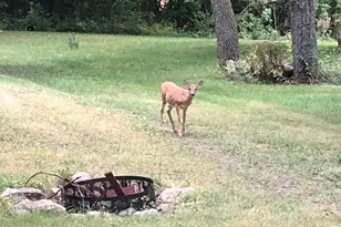 52765 409th Ave, North Mankato, MN 56003 - Photo 49