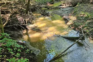 52765 409th Ave, North Mankato, MN 56003 - Photo 55