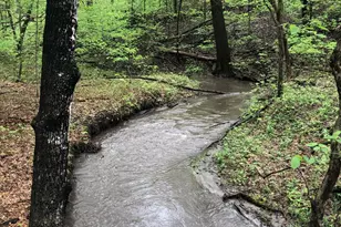 52765 409th Ave, North Mankato, MN 56003 - Photo 53