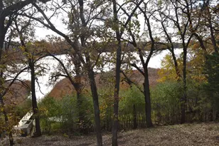 22225 Big Lake Ct, Richmond, MN 56368 - Photo 53